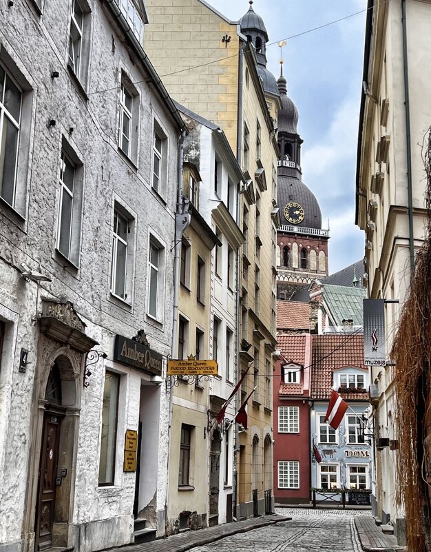 Рига, январь 2025 - Жанна Мандрика