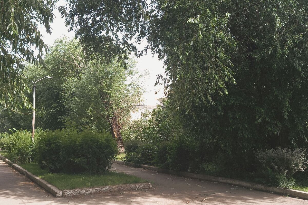 Путь в лето. - Игорь Солдаткин