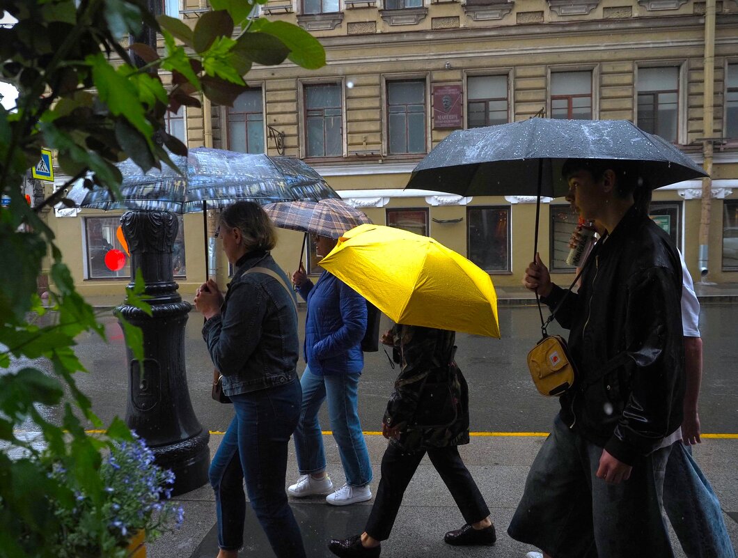 В Питере - пить или лить? - Магомед .