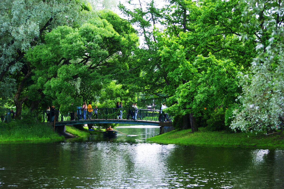МОСТИК - Виктор Никитенко МОСТИК - Виктор Никитенко