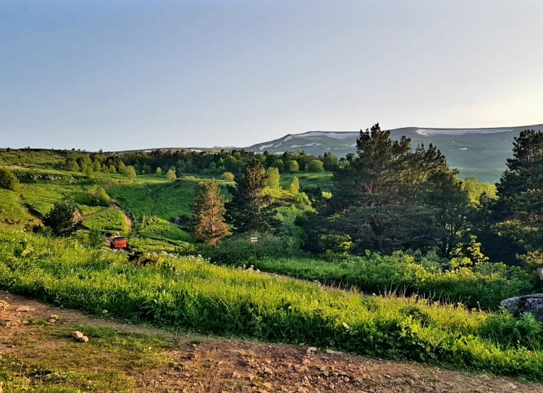 ПЛАТО ЛАГОНАКИ - Tata Wolf