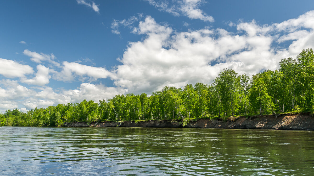 ... - Жора Житников