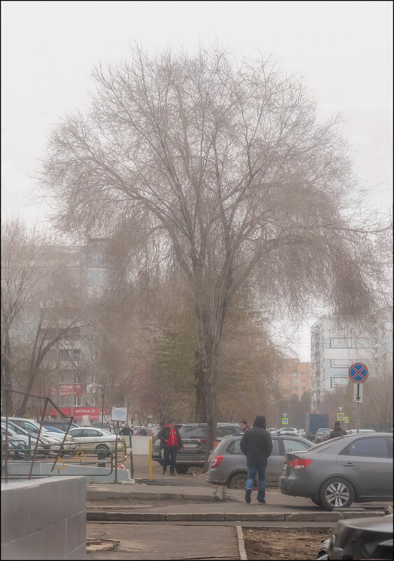 Тумана - Александр Тарноградский