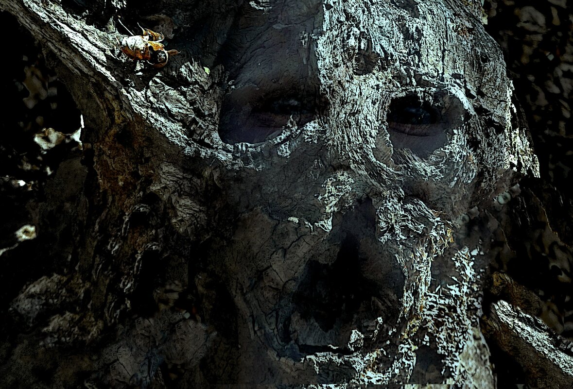 "Коряга". - Журавлев Владимир 