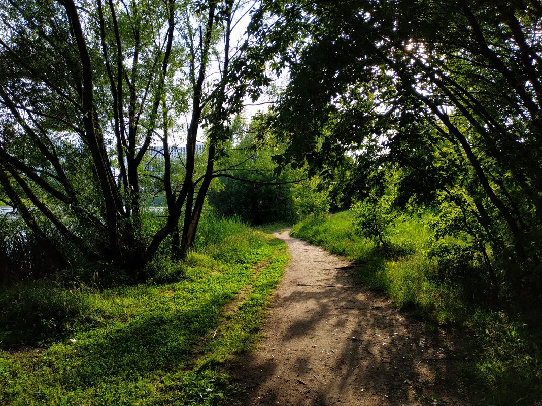 * * * - Андрей Лукьянов