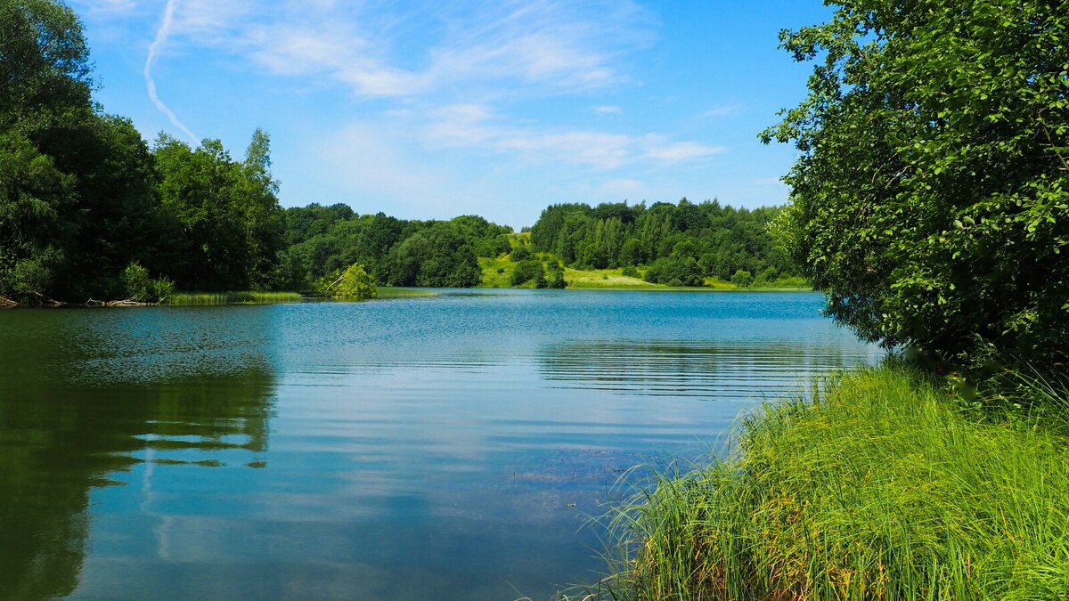 Смоленщина в июле. - Милешкин Владимир Алексеевич Смоленщина в июле. - Милешкин Владимир Алексеевич