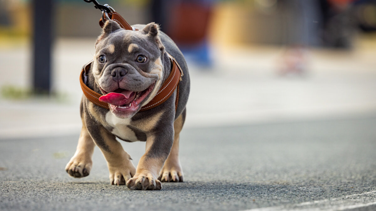 Всех на свете люблю я - Фёдор Воронов