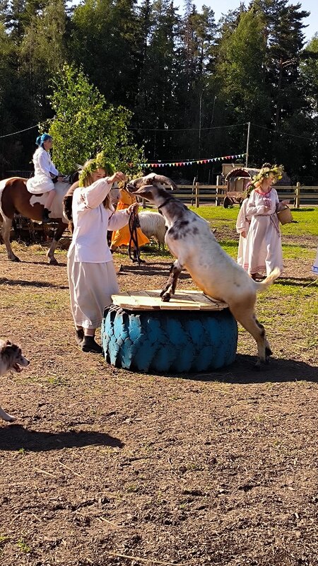 Спектакль театра Марины Мироновой по мотивам славянского эпоса Яго. - Ольга 