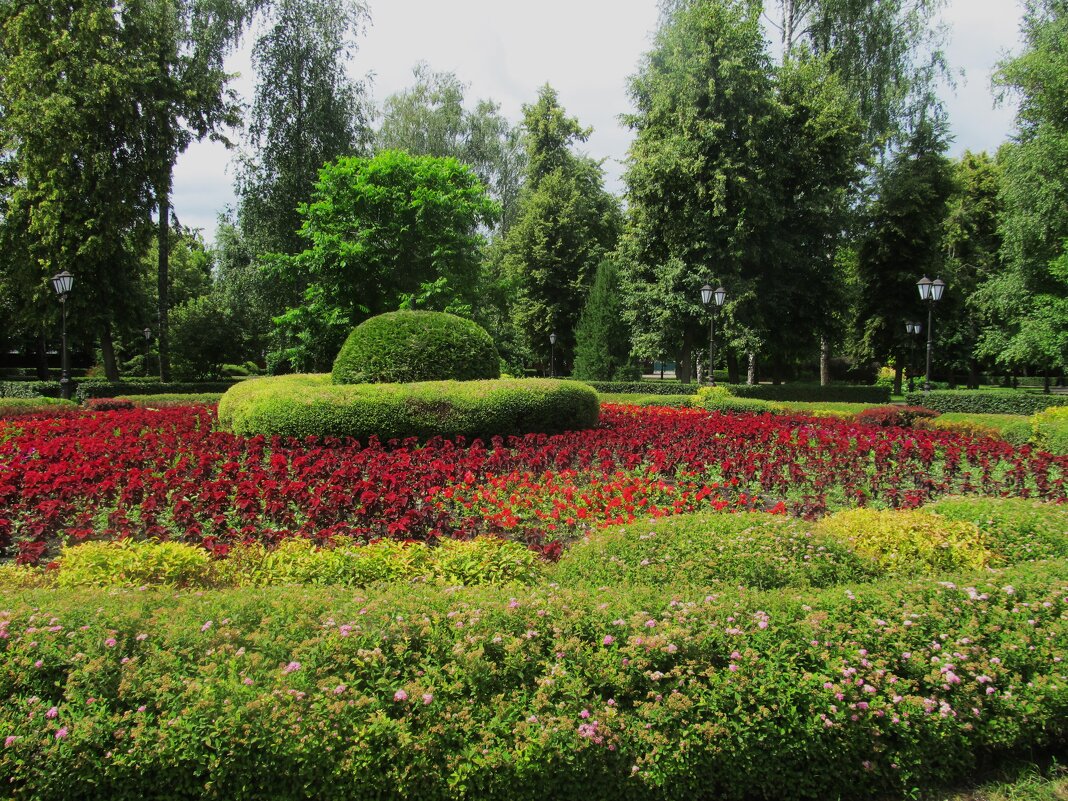 парк Рамонь - Елена Шаламова парк Рамонь - Елена Шаламова