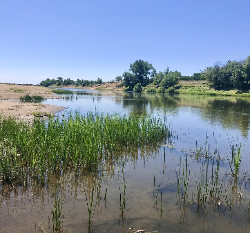 Пойма реки Ахтуба - Татьяна 