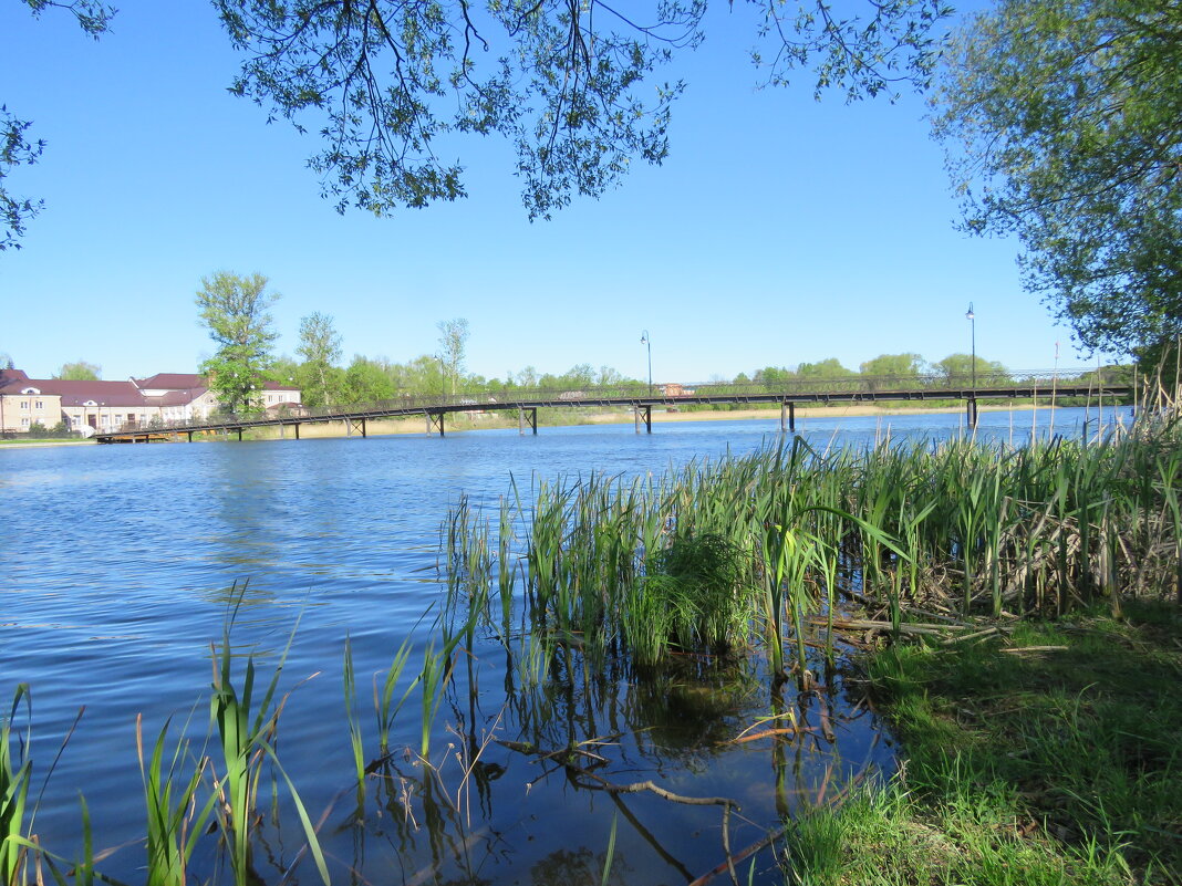 Весна в Богородицке - ИРЭН@ . Весна в Богородицке - ИРЭН@ .