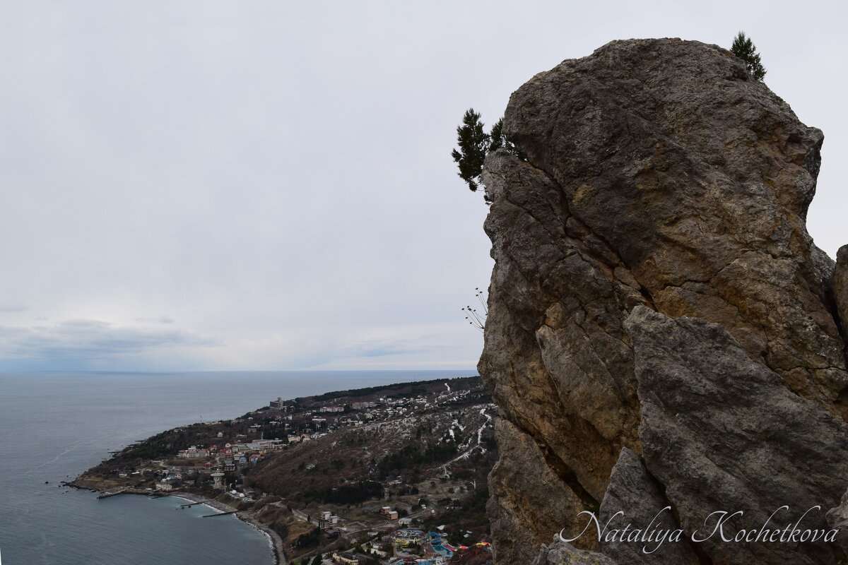 Природа Крыма - Amazing Cosmea