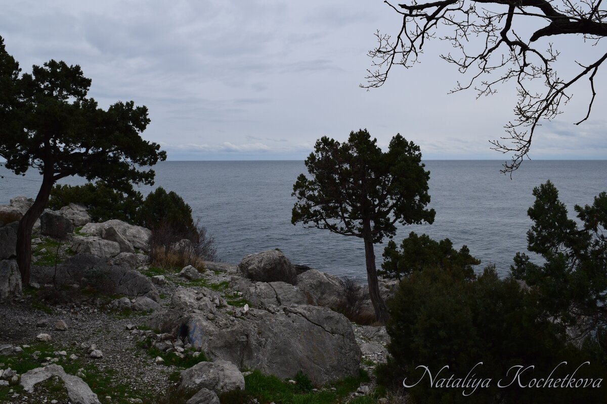 Природа Крыма - Amazing Cosmea