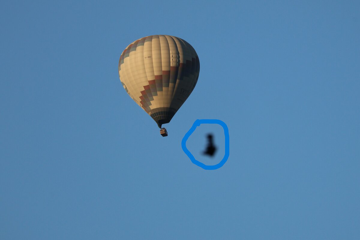 Шар - Аркадий Басович