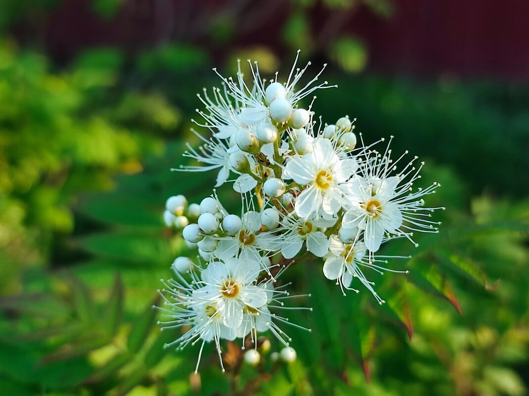 *** - Валентина Богатко *** - Валентина Богатко