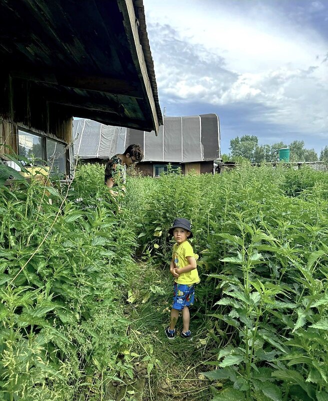Лето. - Венера Чуйкова