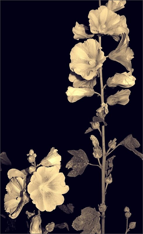 ... - Юрий Ковшов