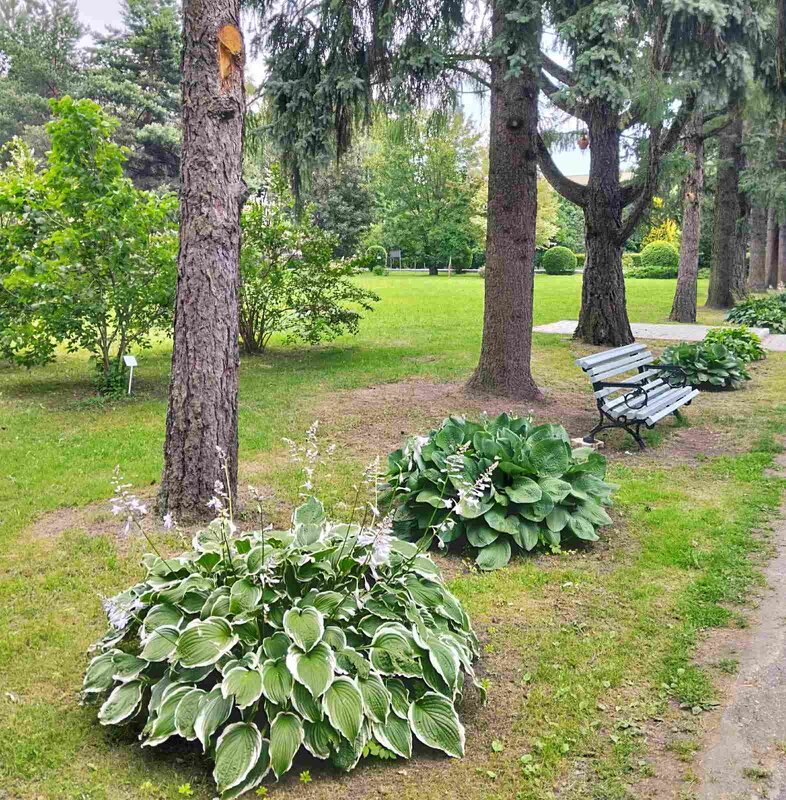 Ботанический сад - Галина Бобкина