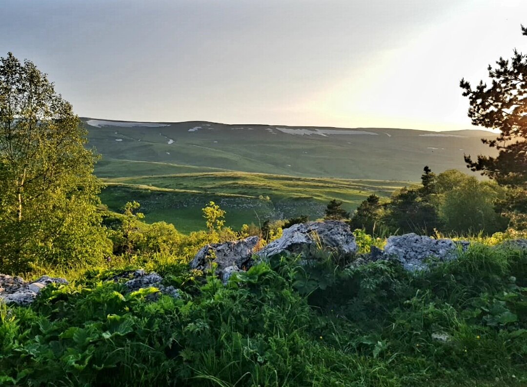 ПЛАТО ЛАГОНАКИ - Tata Wolf