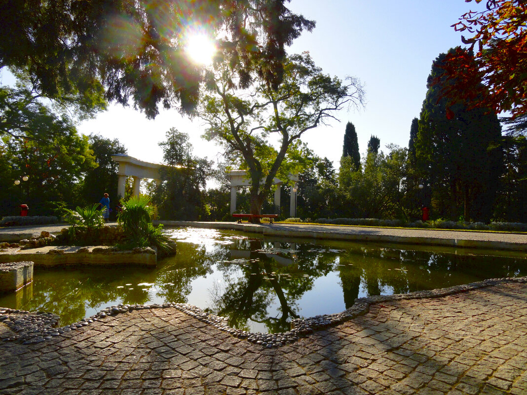 В приморском парке (Ялта) - Ольга В приморском парке (Ялта) - Ольга