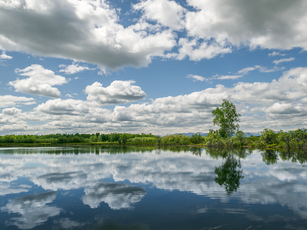 ... - Жора Житников ... - Жора Житников