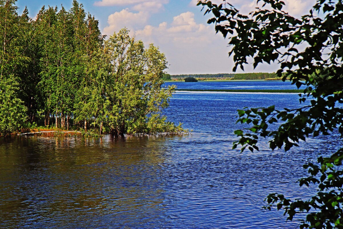 Июнь...На стрелке протоки Девкиной! - Владимир 
