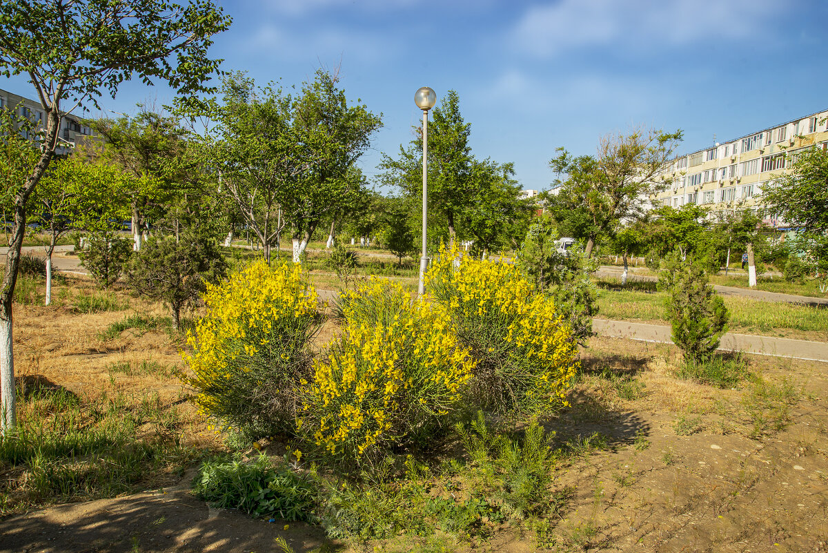 Фонарб - Анатолий Чикчирный