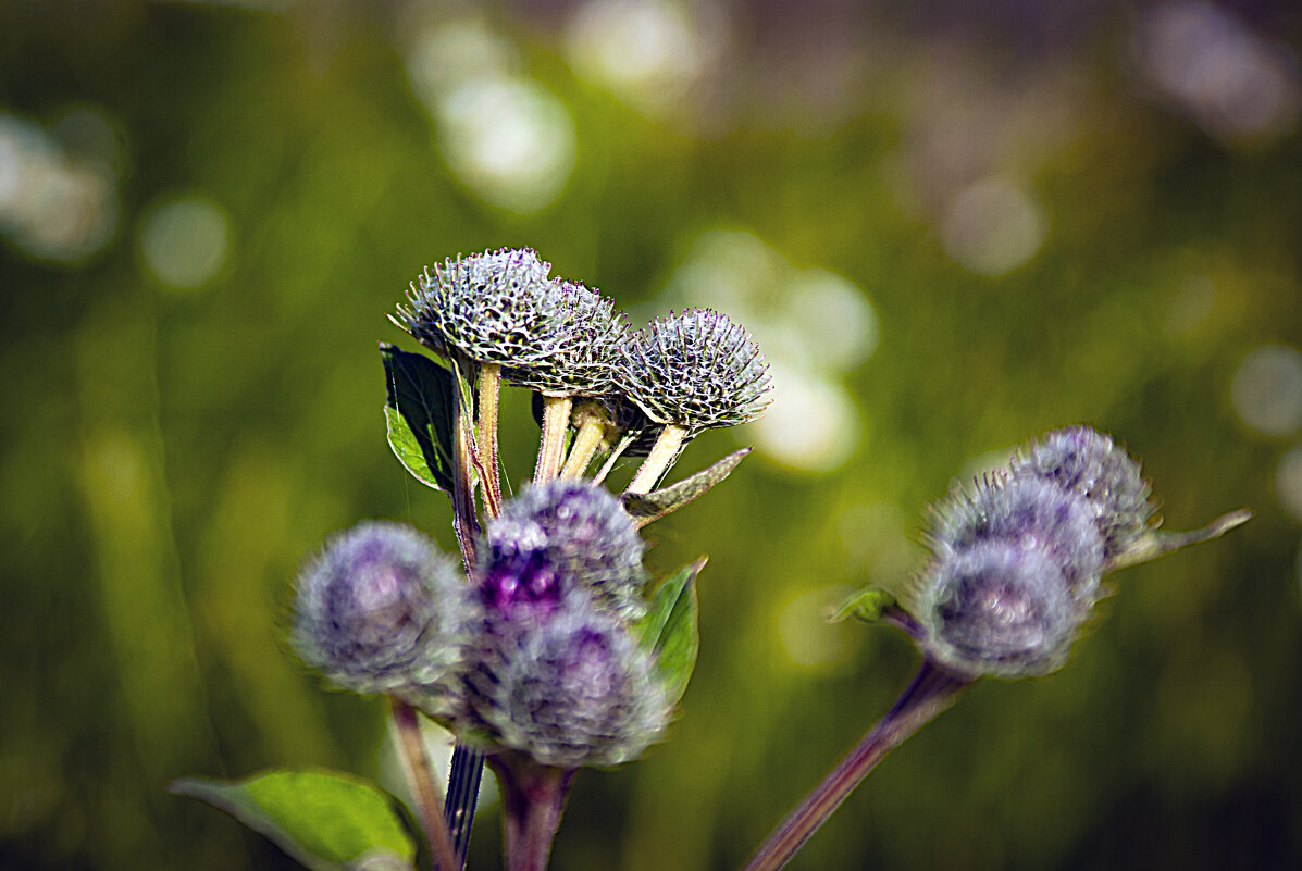 Фотоэтюд - Владимир Кроливец Фотоэтюд - Владимир Кроливец