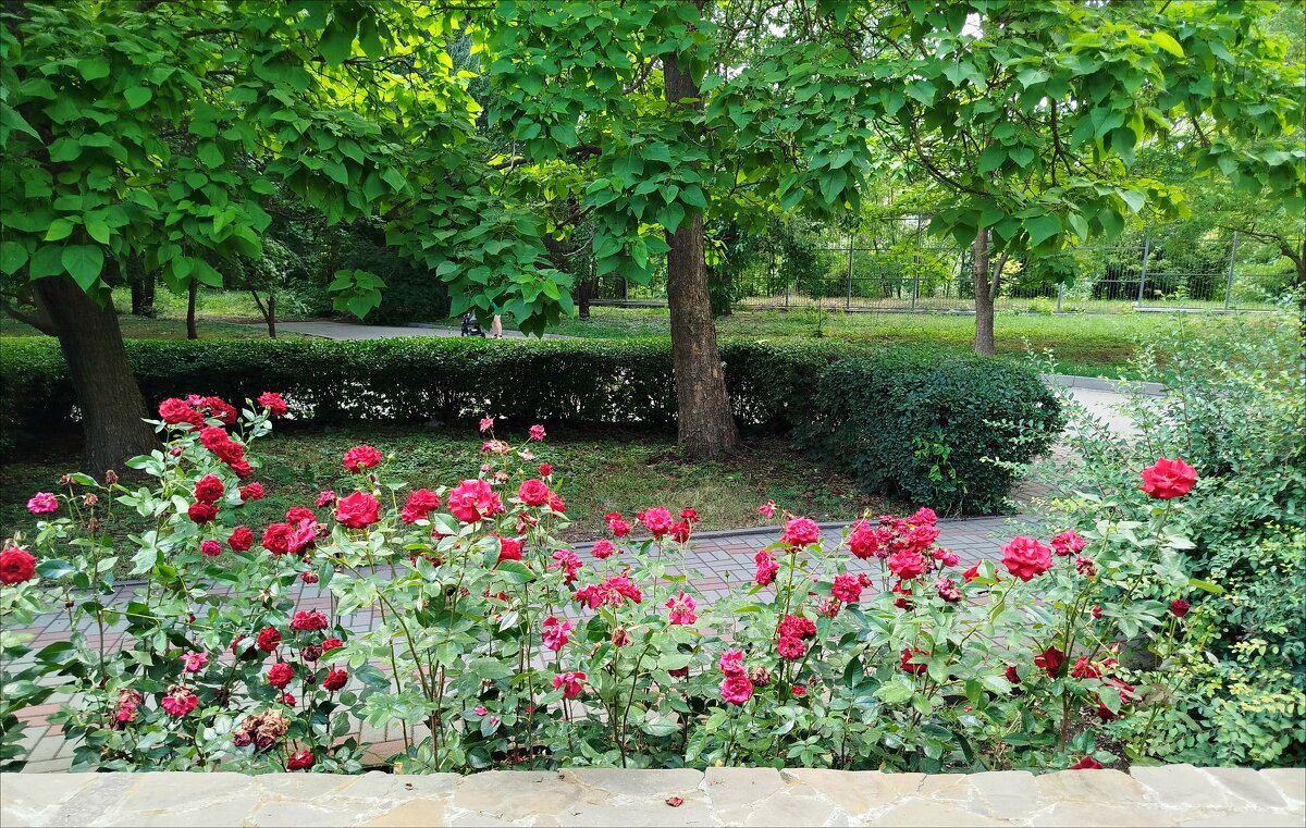 В зоопарке! - Надежда 