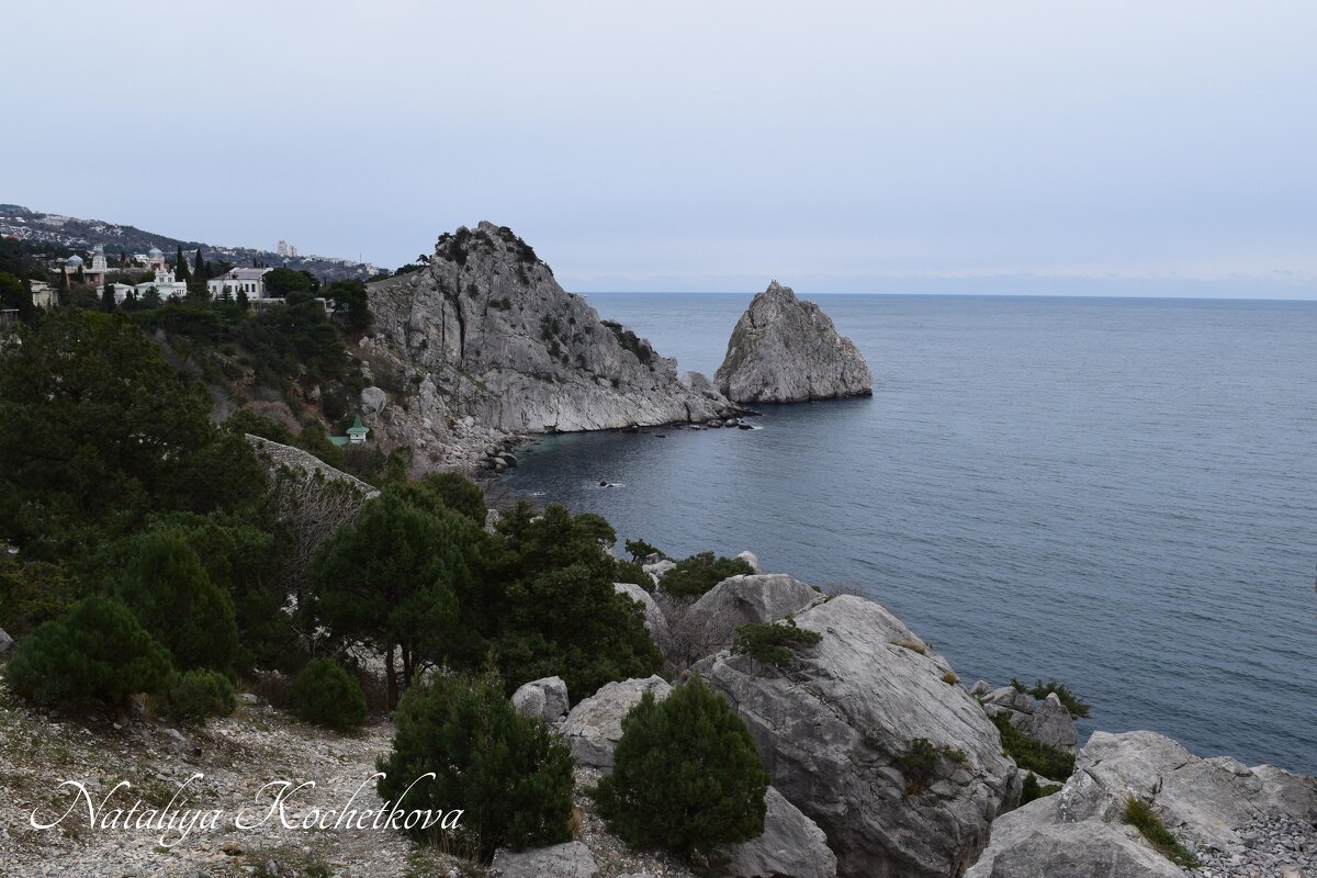 Природа Крыма - Amazing Cosmea