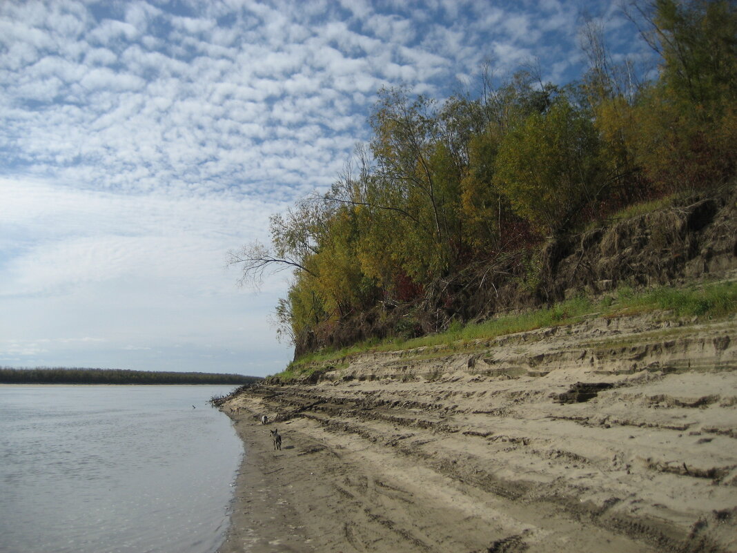 На берегу - Anna Ivanova На берегу - Anna Ivanova