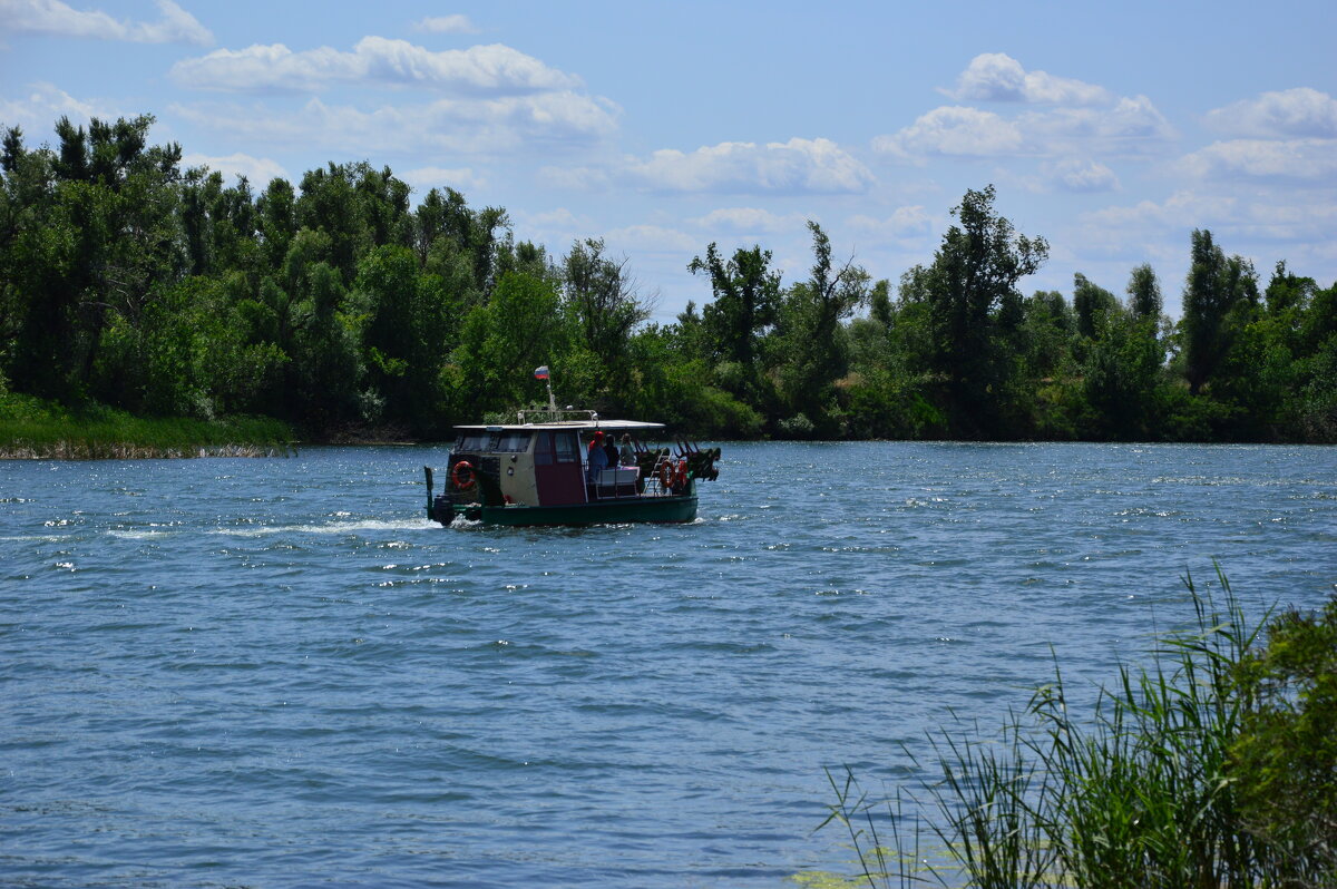 Местная река. - Виктор 