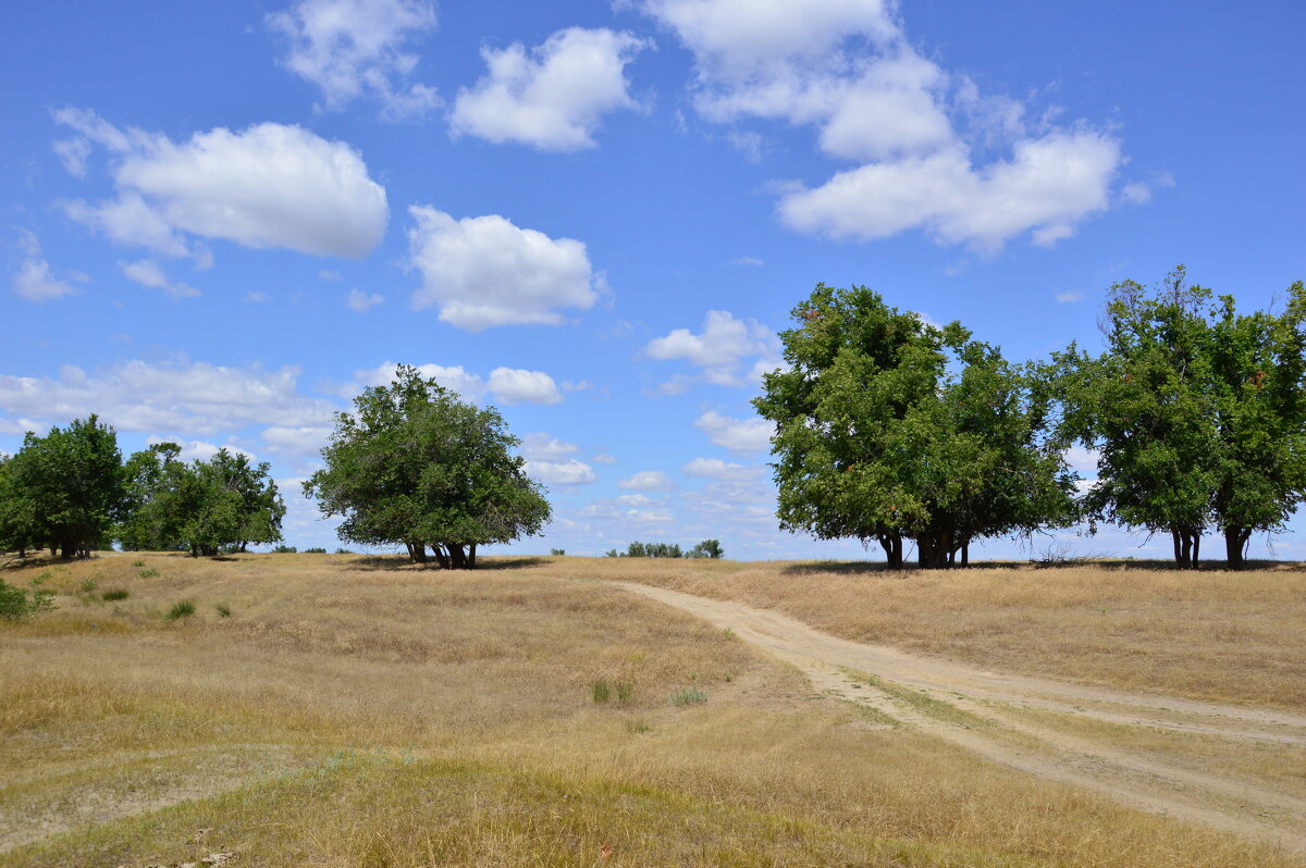 Мои дороги. - Виктор 