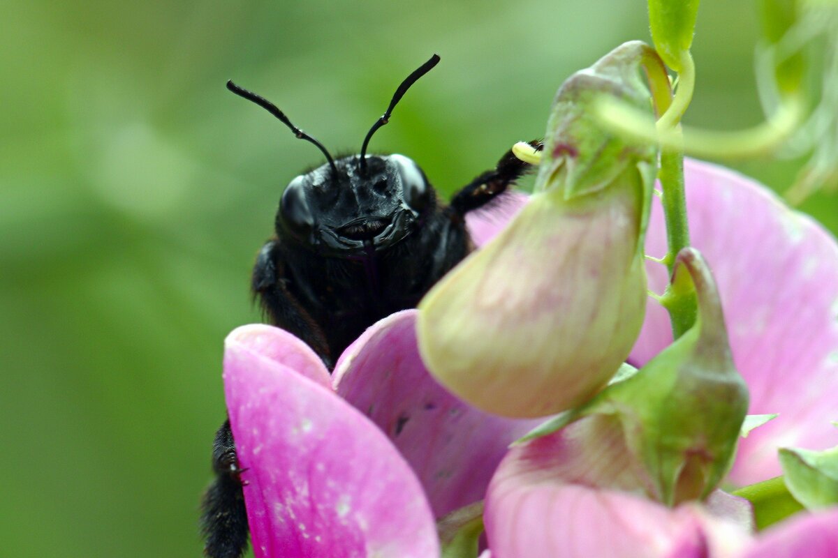 Ну что же, здравствуй, вот и я - Юрий. Шмаков