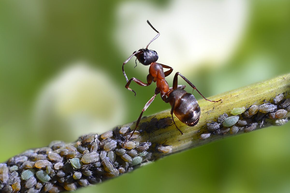 В  дозоре - Геннадий Супрун