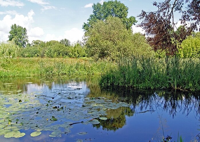 *  *  * - Елена 