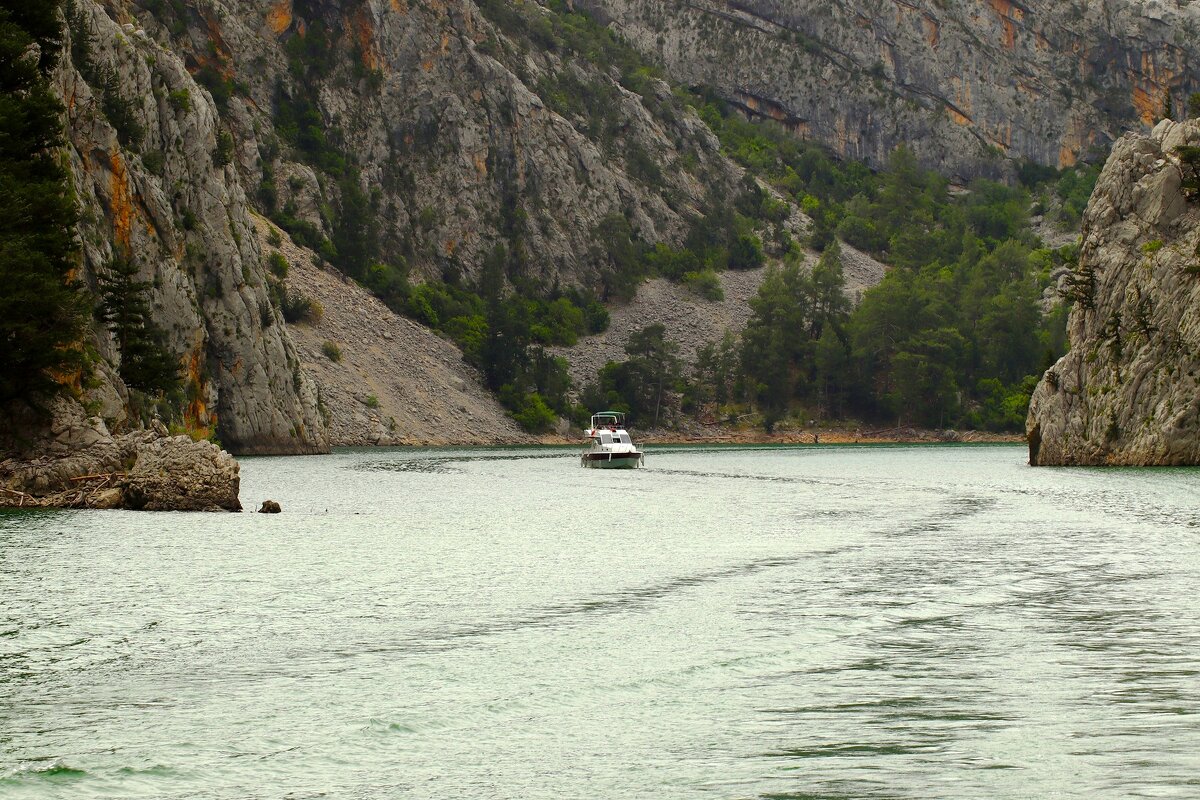 Катерок - Юрий. Шмаков