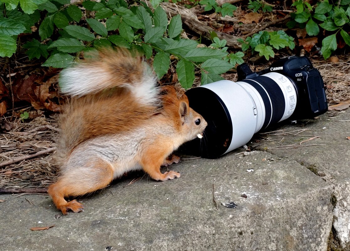 Здесь портреты делают??? - Александр Кондаков