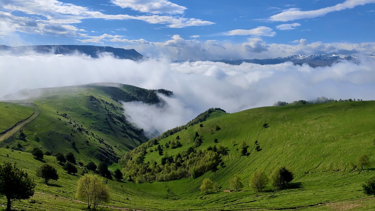 Разносортность облаков. - Александр Кондаков