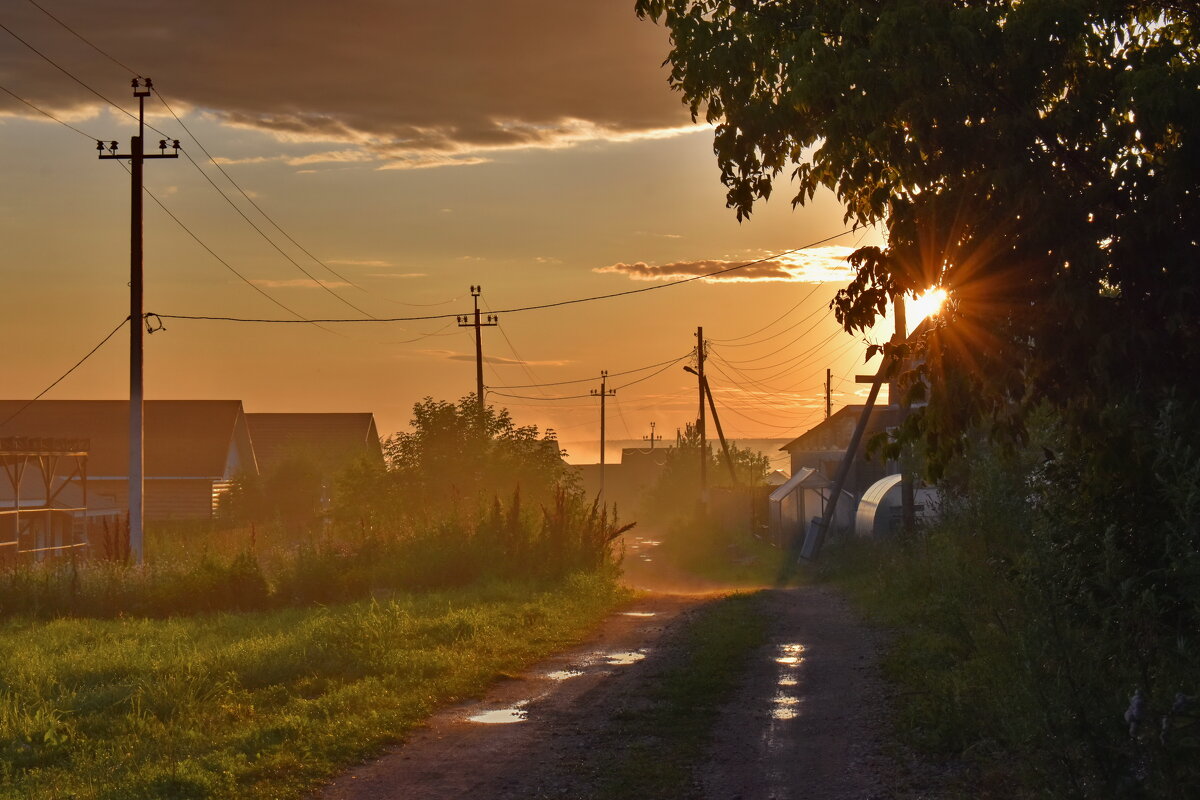 После дождичка... - Роман Пацкевич
