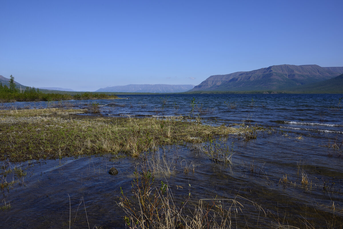 *** - Александр Хаецкий *** - Александр Хаецкий