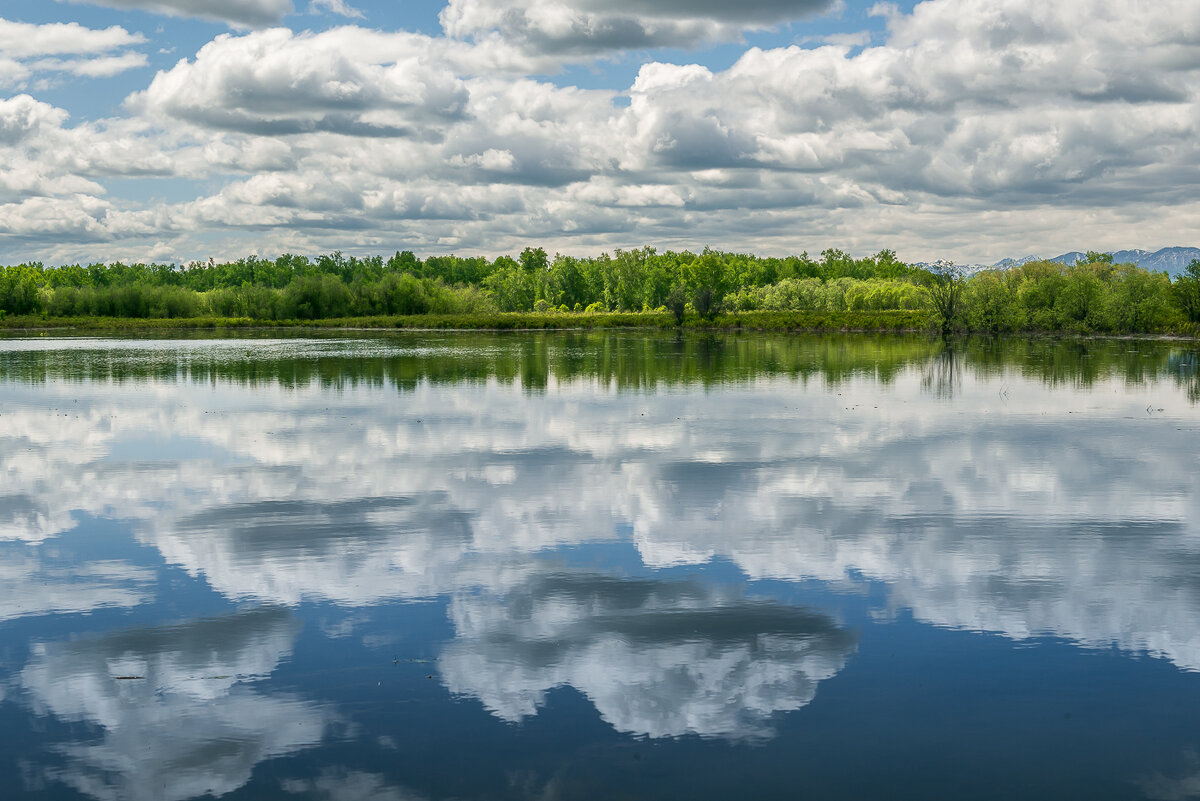 ... - Жора Житников ... - Жора Житников