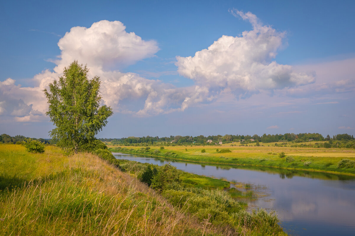 **** - Елизавета .