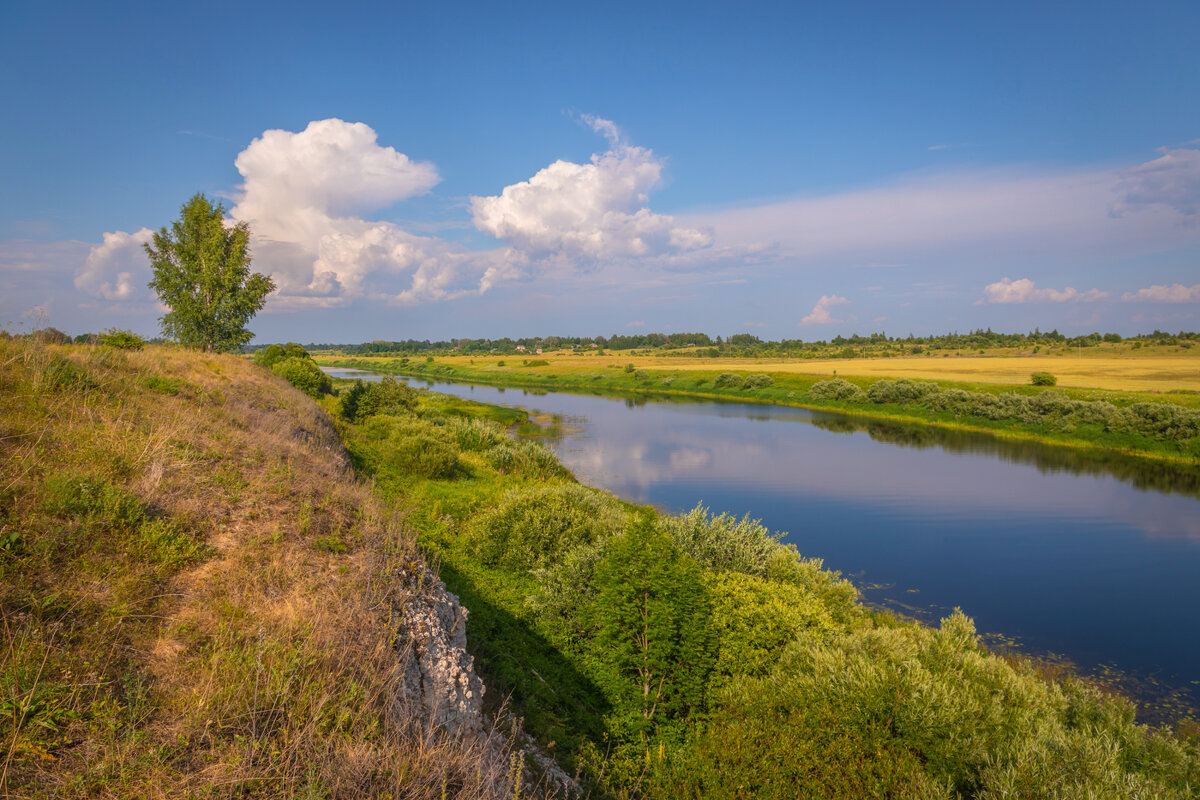 **** - Елизавета .