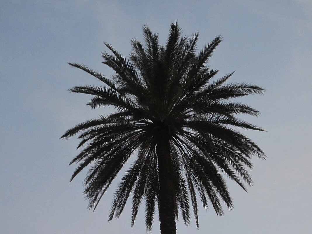 Минимализм - Натали 