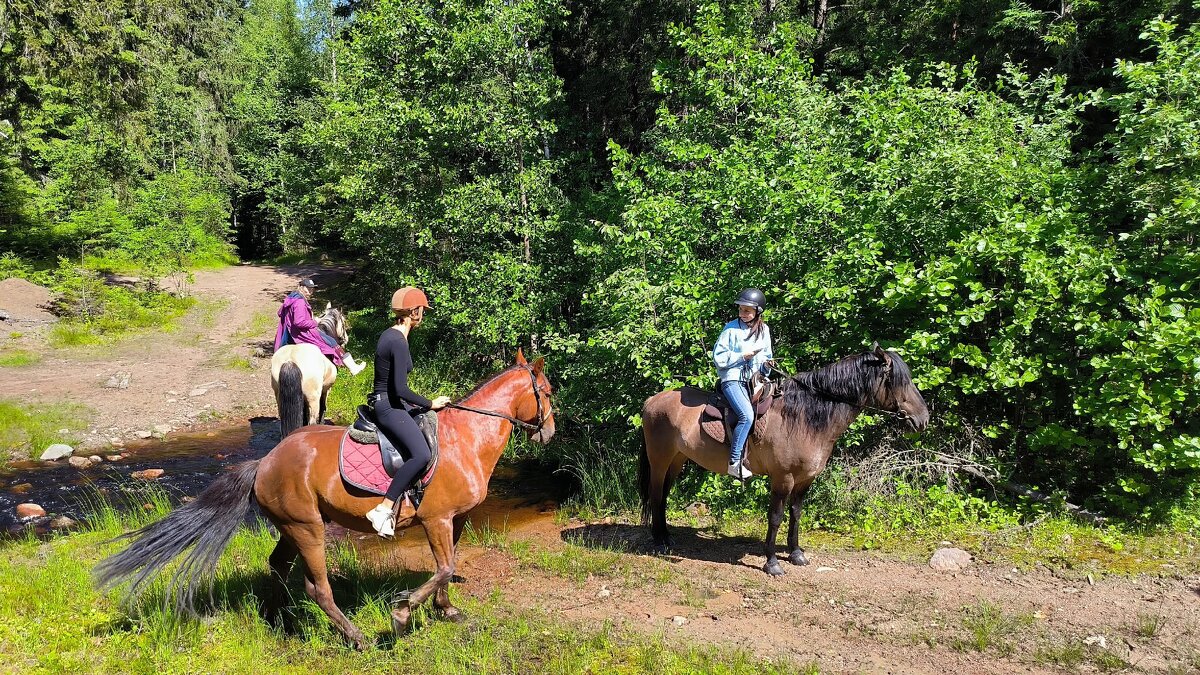 Летняя прогулка. - Ольга 