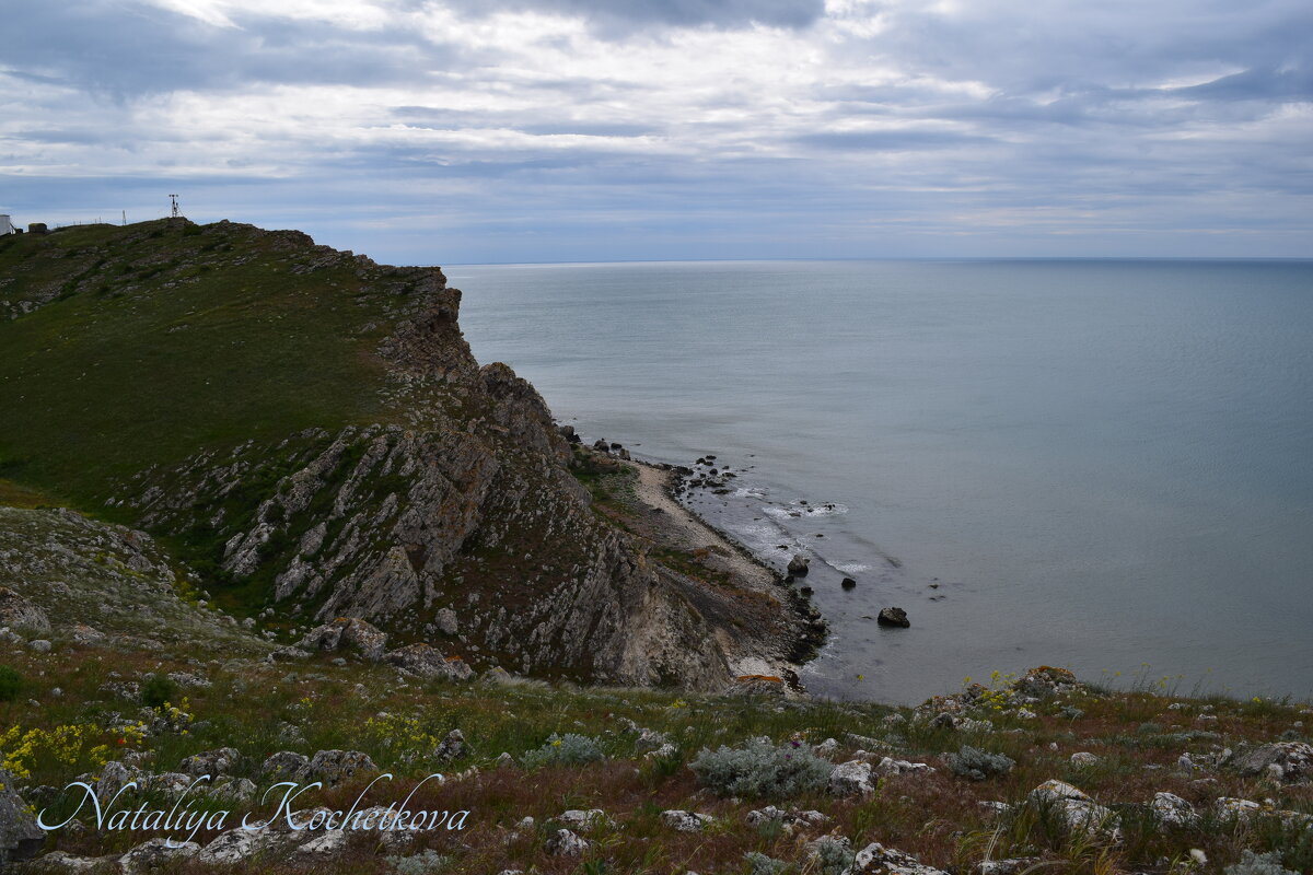 Природа Крыма - Amazing Cosmea