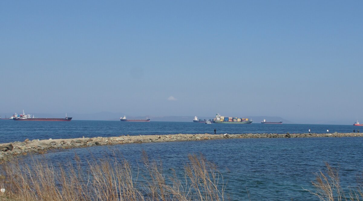 Токаревская кошка - Наталья Т Токаревская кошка - Наталья Т