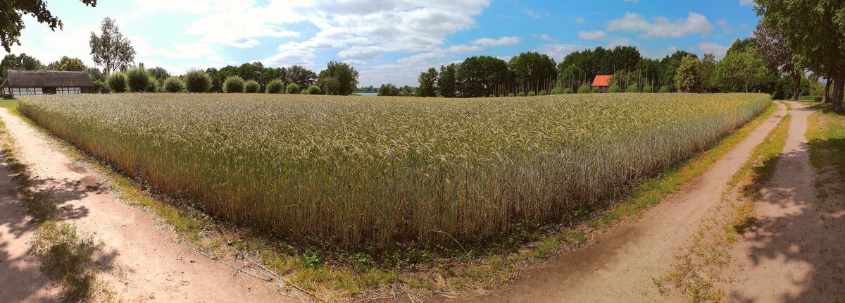 Перекрёсток. - adrow Перекрёсток. - adrow