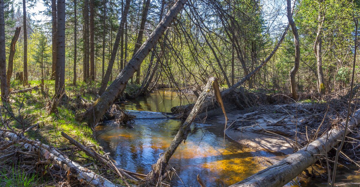 Река Куштумга. - Алексей Трухин